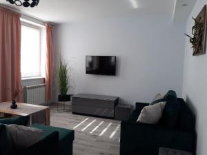 Televízia a/alebo spoločenská miestnosť v ubytovaní Apartament do wynajęcia