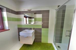 a bathroom with a sink and a shower at Villa Patriot - Penzión in Vyšné Ružbachy +22 photos