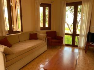 ein Wohnzimmer mit einer Couch und zwei Fenstern in der Unterkunft Olga Studio Kouremenos in Palekastro