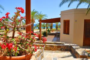 a house with a bunch of flowers in a yard at Olga Studio Kouremenos in Palekastron