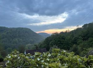 a view of a house in the mountains with flowers at Carrow Cottage in Ironbridge