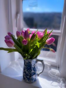 un jarrón de tulipanes rosas sentado en un alféizar de la ventana en Carrow Cottage, en Ironbridge