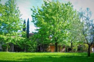 a green yard with trees in front of a house at B&B Acquamarina in Marina di Massa