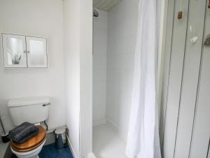 a white bathroom with a toilet and a shower at 1 Hetfield Cottages in Bishops Castle +16 photos