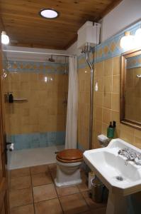 a bathroom with a toilet and a shower and a sink at Cal Caminer Casa rural con piscina y barbacoa in Guimerá