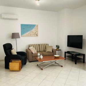 uma sala de estar com um sofá e uma televisão em Hidden Garden em Afantou