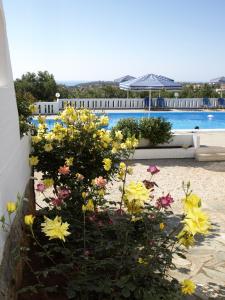 a garden with flowers in front of a pool at Villas Michalis in Chorafakia