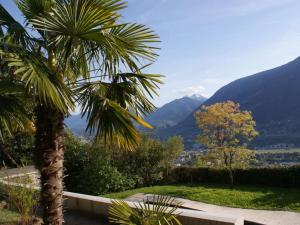 un palmier dans un jardin avec des montagnes en arrière-plan dans l'établissement Belvilla, à Tirolo