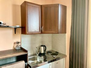 Kuchyň nebo kuchyňský kout v ubytování Apartment Centar