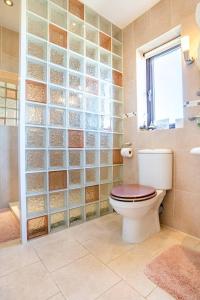 a bathroom with a toilet and a glass block wall at WILLOW RIDGE - a large country house with 3 rental rooms in Clutton +33 photos