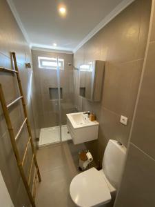 uma casa de banho com um WC, um lavatório e um chuveiro em Carcavelos beach walking distance room in shared apartment em Oeiras