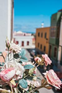 Vv CONDEVEGA في تيلدي: حفنة من الورود الزهرية تقف على حافة النافذة