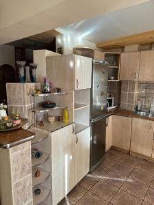 una cucina con frigorifero e armadietti in acciaio inossidabile di Apartament CASA ALEXIA a Botoşani
