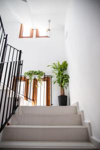 a staircase with two potted plants in a room at Zalamera BnB in Valencia