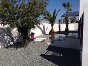 a courtyard with palm trees and a house at Maison Ocelia in Villeneuve-lès-Béziers