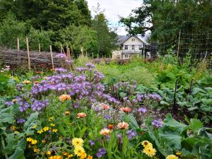 a garden full of flowers in front of a house at Disponentparken Café och Bed & Breakfast in Grängesberg