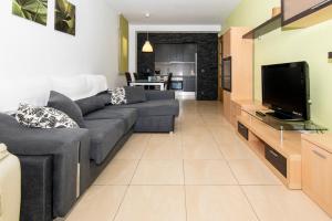 a living room with a couch and a tv at Rentalmar Montroig Natura in Miami Platja