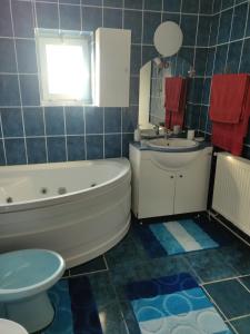 bagno con vasca, lavandino e servizi igienici di Apartament CASA ALEXIA a Botoşani