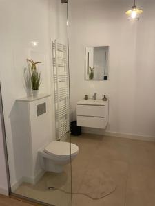 Vonios kambarys apgyvendinimo įstaigoje Rahela Penthouse