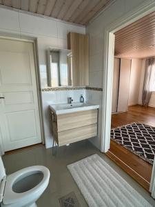タンペレにあるStunning 5BR 16 Bed Home with Finnish Sauna & Jacuzzi 340 m2のバスルーム(洗面台、トイレ付)