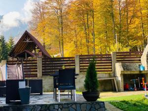 a chair and a table in a yard with a fence at Vila Mama Jana in Buşteni