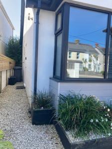 a house with two potted plants next to a window at The Salt Box- Lovely refurbished annexe, free parking, walk to Porth beach. in Saint Columb Minor