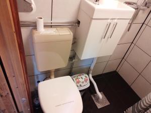 a small bathroom with a toilet and a sink at Tegelvägen B in Nättrabyhamn