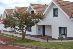 Una casa blanca con un árbol delante. en Apartamentos Turisticos Nossa Senhora Da Estrela, en Rosário-Lagoa