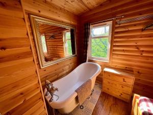 Vannituba majutusasutuses Stags Head Lodge +11 fotot