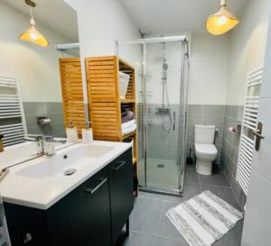 ein Bad mit einem Waschbecken, einer Dusche und einem WC in der Unterkunft A charming house in Puilboreau in Puilboreau