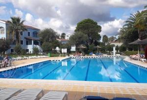 a large blue swimming pool with chairs and trees at Golden Aura in Danilia