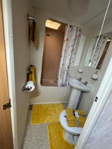 a bathroom with a toilet and a sink at the Samanda Van Newport caravan park in Hemsby