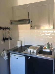 a kitchen with a sink and a counter top at Le Saint Roch 2 - AC CLIM - WIFI - 50m Centre ville in Avignon