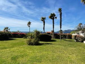 park z palmami i oceanem w tle w obiekcie PAN0 - Studio avec belle et grande terrasse vue mer w Cannes
