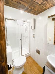 a bathroom with a toilet and a shower and a sink at The Studio by Apartment Wilky in Kaprun