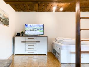 TV a/nebo společenská místnost v ubytování The Studio by Apartment Wilky