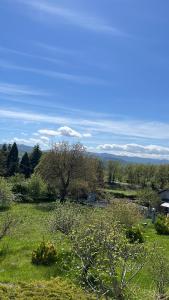 a field of green grass with trees and a blue sky at Casa T Bed and Breakfast & Home Restaurant di Tacchino Simone in Tagliolo Monferrato