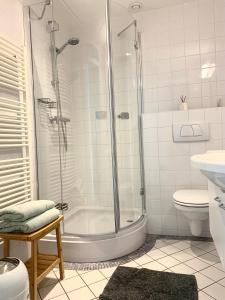 a bathroom with a shower and a toilet at Friese Kust Villa in Workum