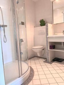 a bathroom with a shower and a toilet and a sink at Friese Kust Villa in Workum