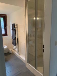 una doccia in vetro in un bagno con WC di Hus Dungrot a Sankt Peter-Ording Altre 9 foto