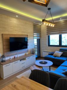 sala de estar con sofá azul y TV de pantalla plana en Vila Pekovic Blue - Apartman TORG en Zlatibor