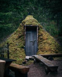 a wooden door in a mossy building with a bench at Attla Skogsby in MÃ¥nsarp