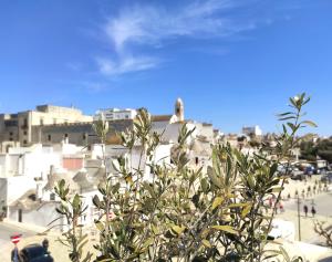 una planta frente a una ciudad con edificios en Noù la tua casa in Puglia en Alberobello