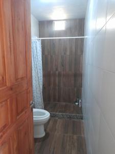 a bathroom with a toilet and a shower at Casa ROCIO in Chimbas