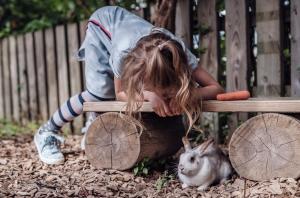a little girl sitting on a bench looking at a rabbit at Familienresort Ellmauhof - das echte All Inclusive in Saalbach-Hinterglemm