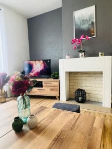 Televízia a/alebo spoločenská miestnosť v ubytovaní « Bel’ Epoque » proche vieille ville 6 pers, WIFI
