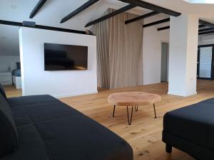 A television and/or entertainment centre at GAMSI Apartment - in private family house with free parking