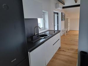 a kitchen with a sink and a counter top at GAMSI Apartment in Ljubljana