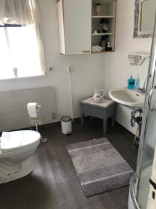 un bagno con un water e un lavandino di Seljaland ferðaþjónusta a Búðardalur