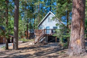 a house in the middle of a forest with trees at Pandora in Shaver Lake